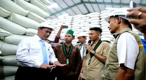 Kepala Bapanas: Stok Beras Melonjak 222 Persen Selama Dua Tahun Terakhir